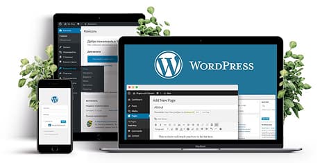 UI/UX design mockups on a screen